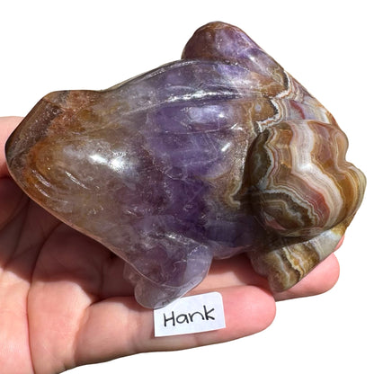 Amethyst x Agate Frog Hank