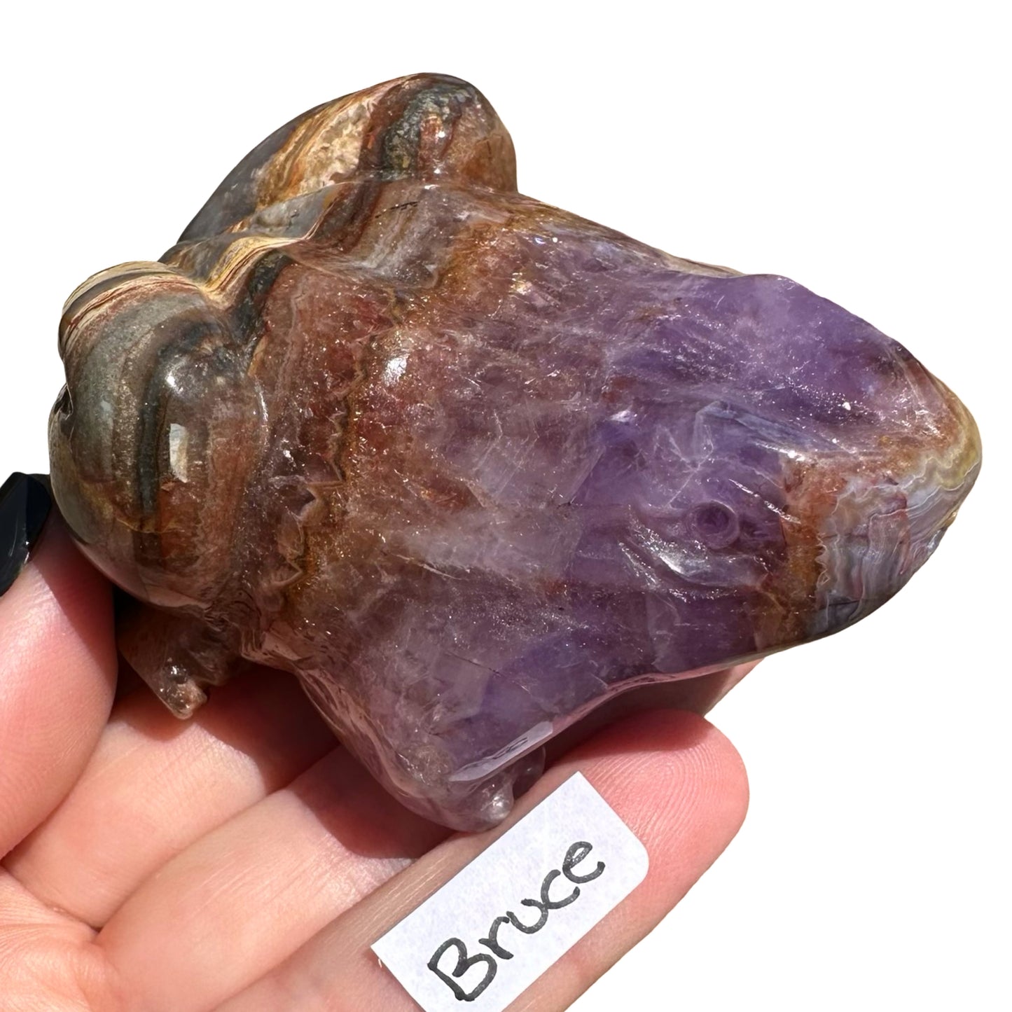 Amethyst x Agate Frog Bruce