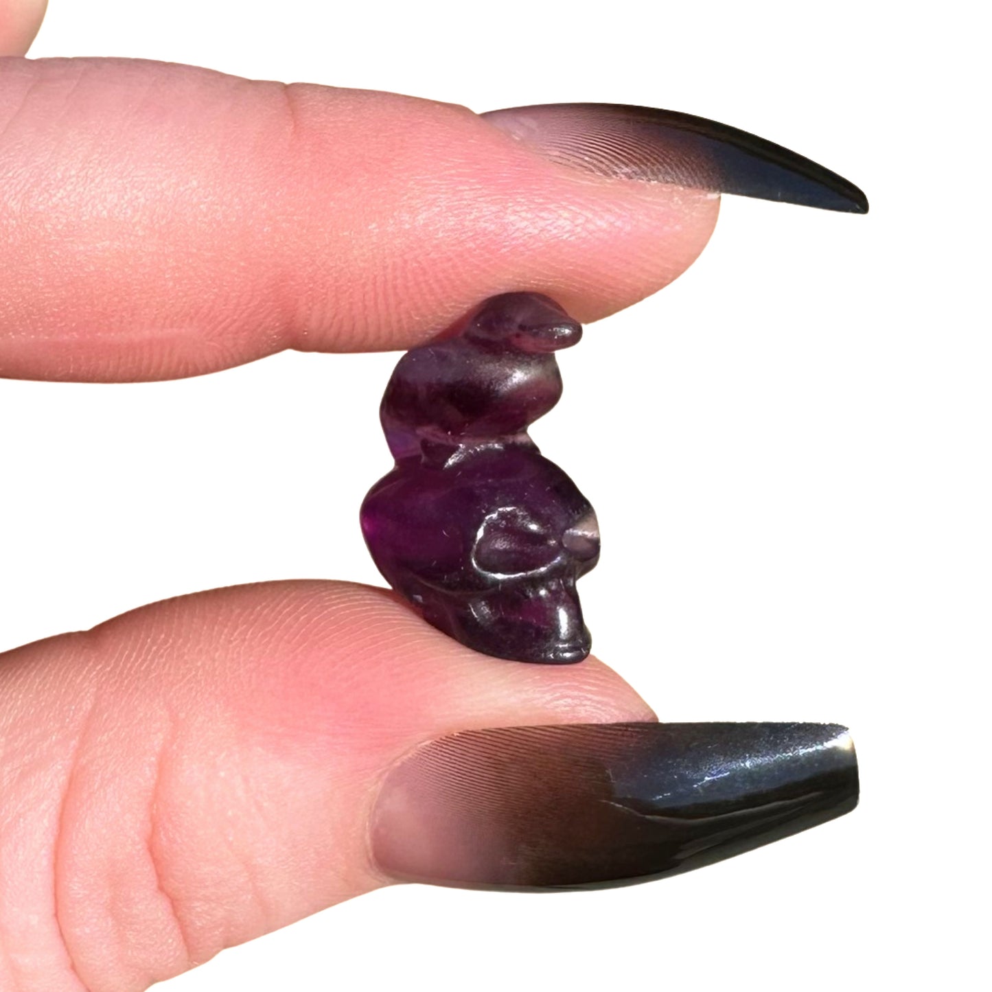 Fluorite Mini Crow Skull