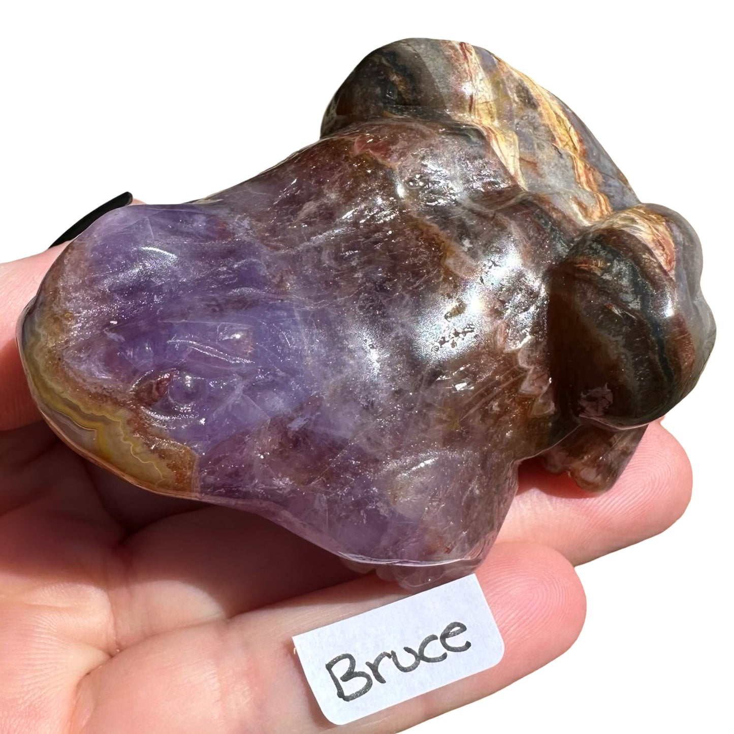 Amethyst x Agate Frog Bruce