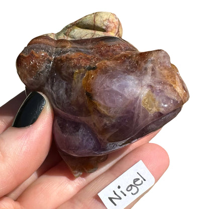 Amethyst x Agate Frog Nigel