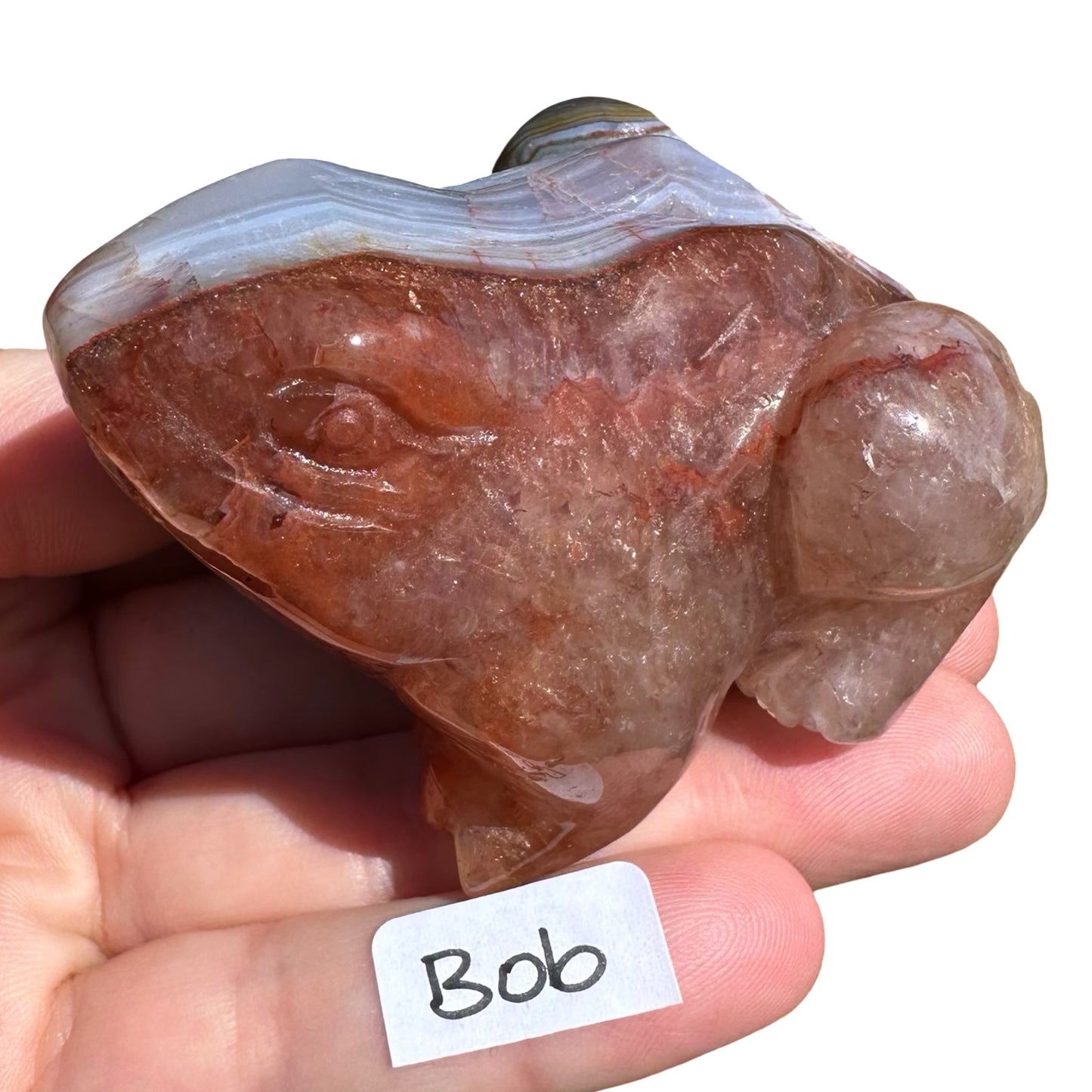 Amethyst x Agate Frog Bob