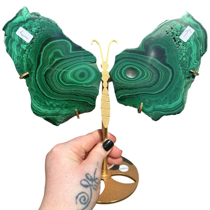 Malachite Raw Slab Butterfly Wings