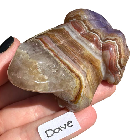 Amethyst x Agate Frog Dave