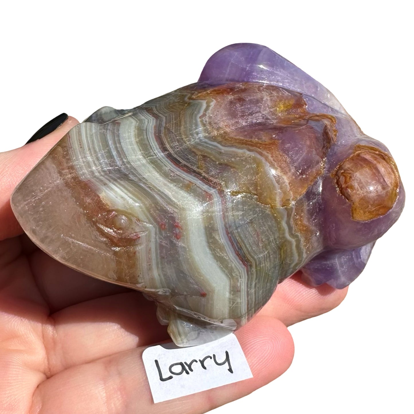 Amethyst x Agate Frog Larry