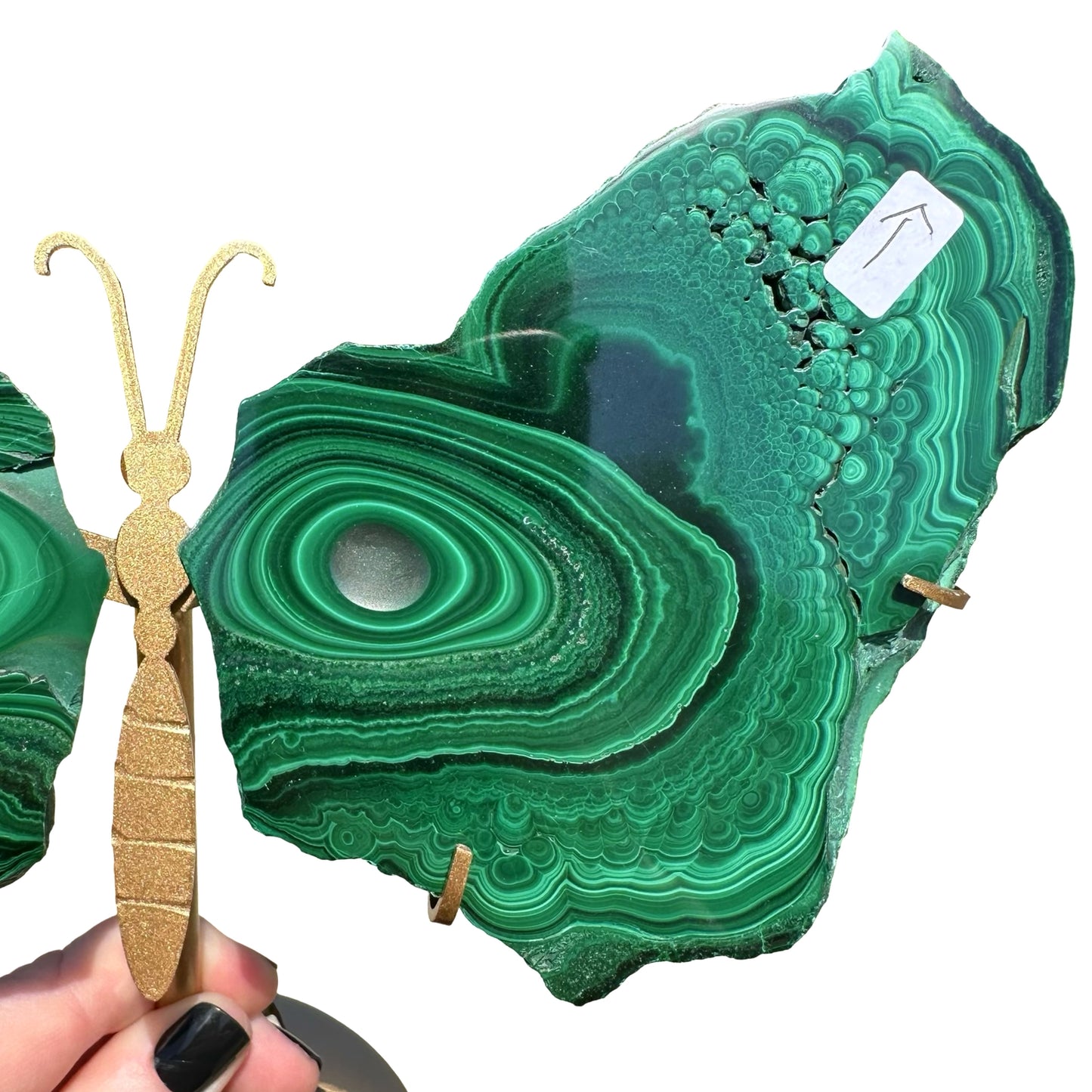 Malachite Raw Slab Butterfly Wings