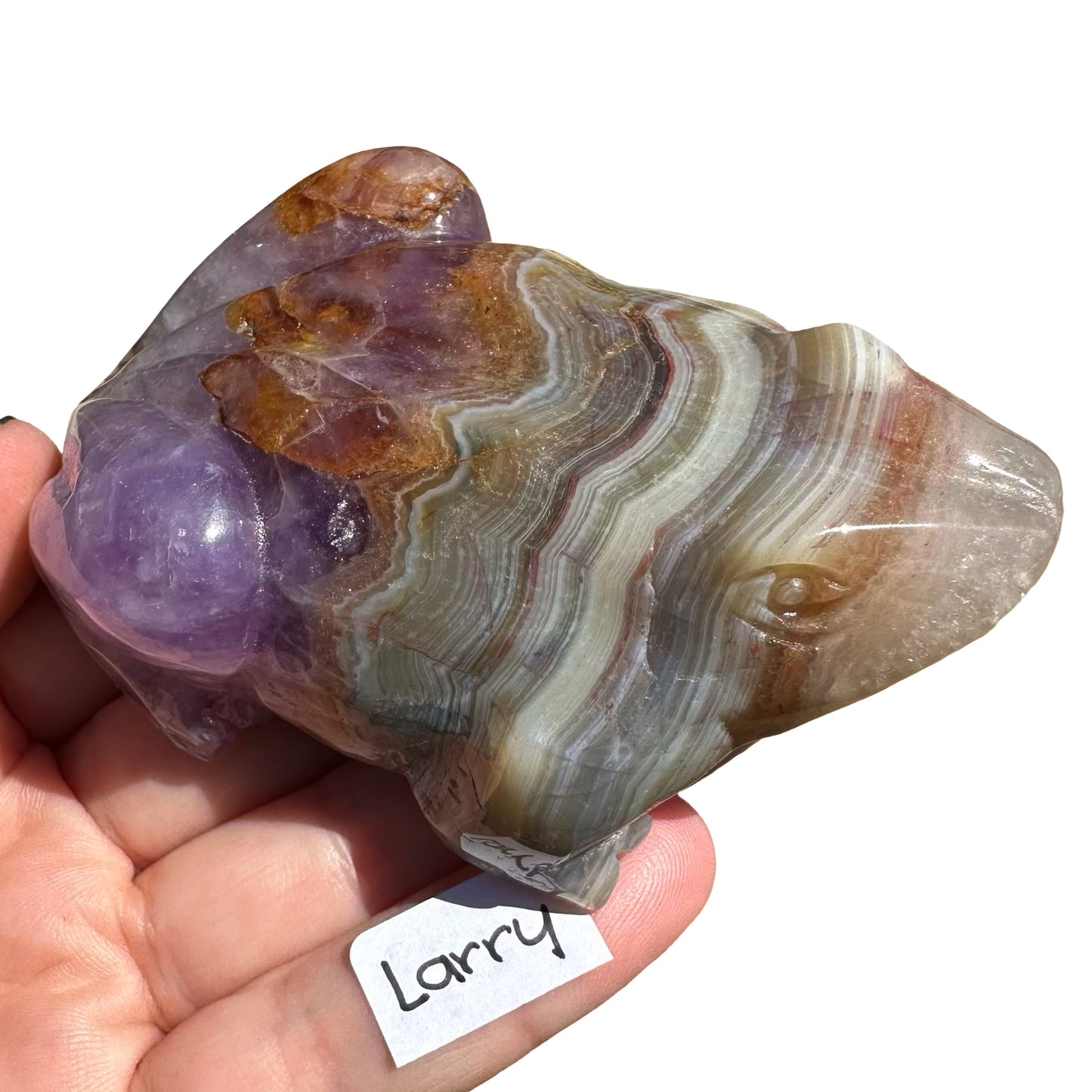 Amethyst x Agate Frog Larry