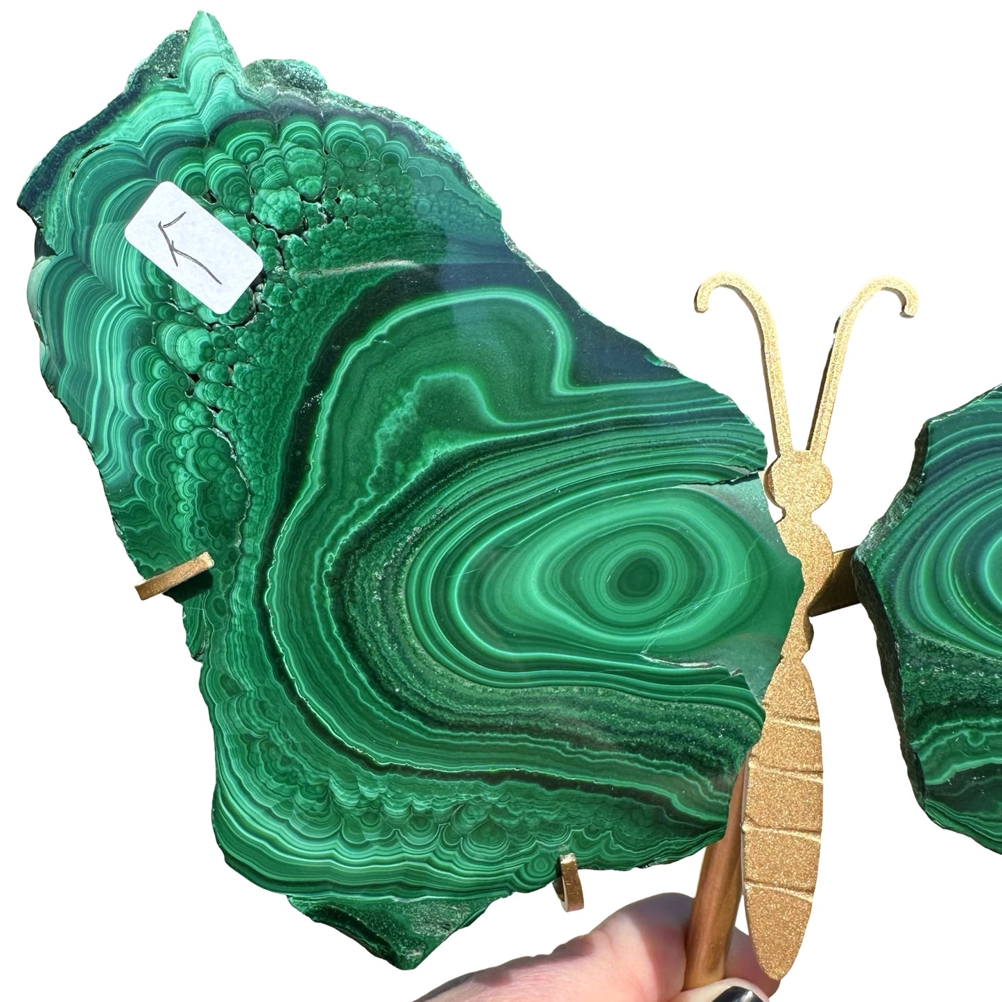 Malachite Raw Slab Butterfly Wings