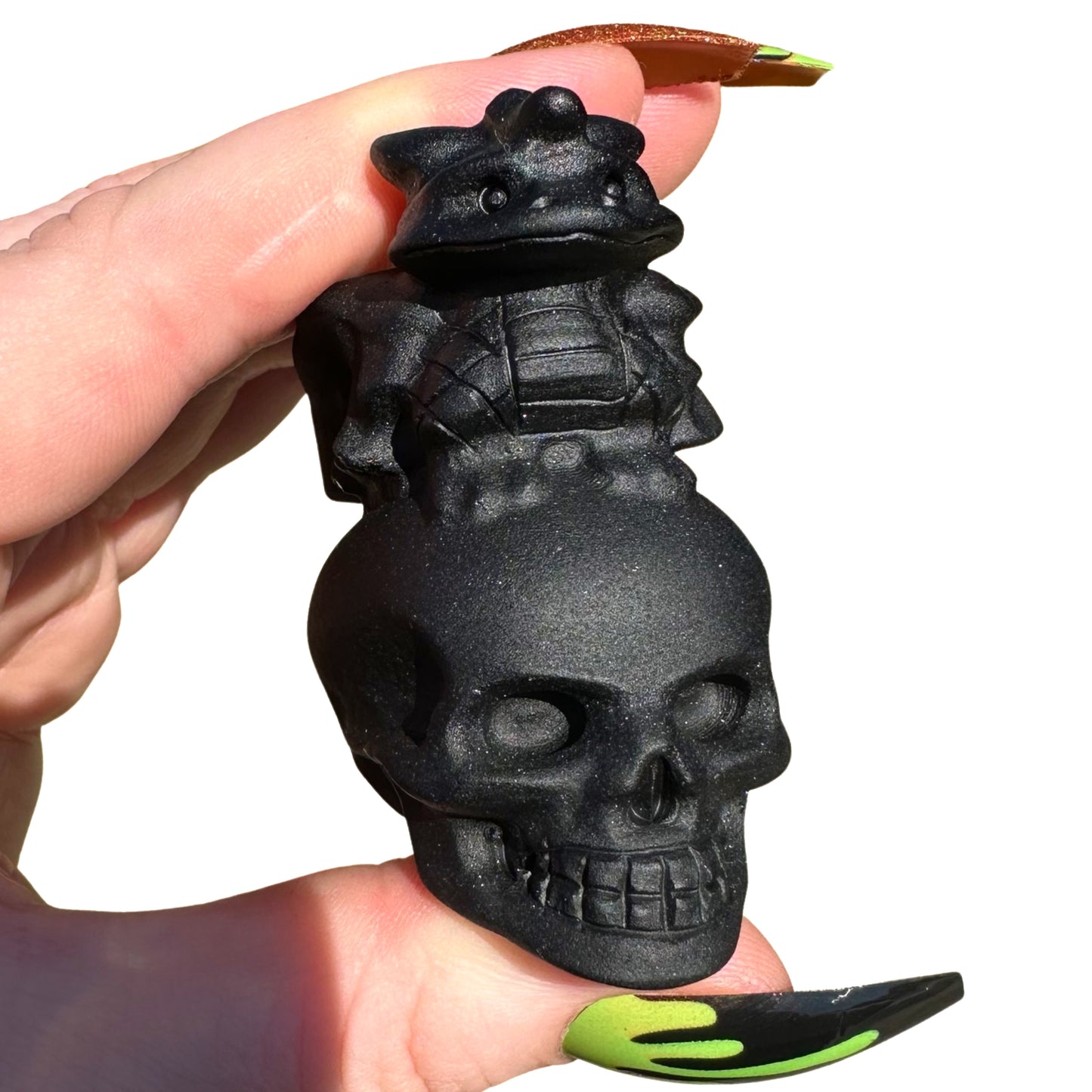 Obsidian Skulls with Dragons