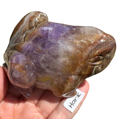 Amethyst x Agate Frog Hank